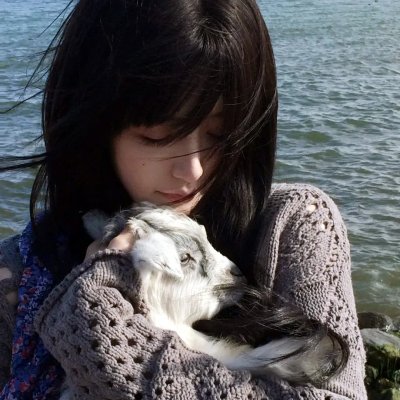 猫王（迷你剧）