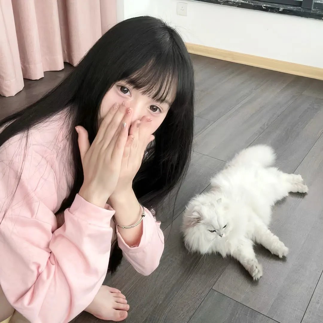 绅士爱美人
